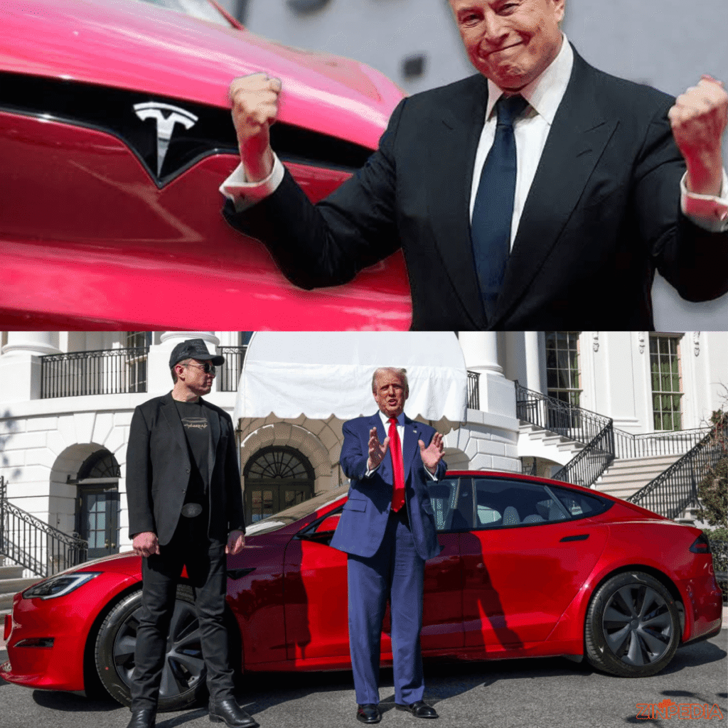 tesla news