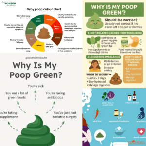 why is my poop green